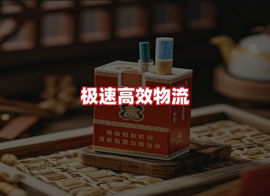 专业团队